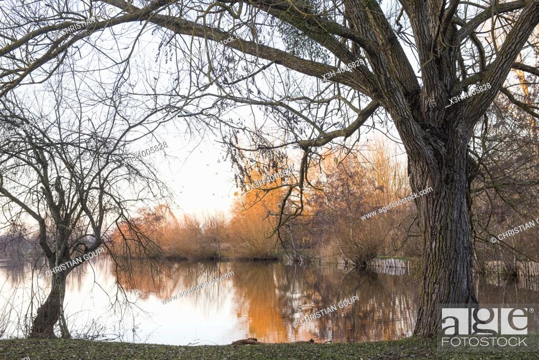 Photo de stock: Pond of Chandelles by the Eure River, Eure-et-Loir department, Centre-Val-de-Loire region, France, Europe.