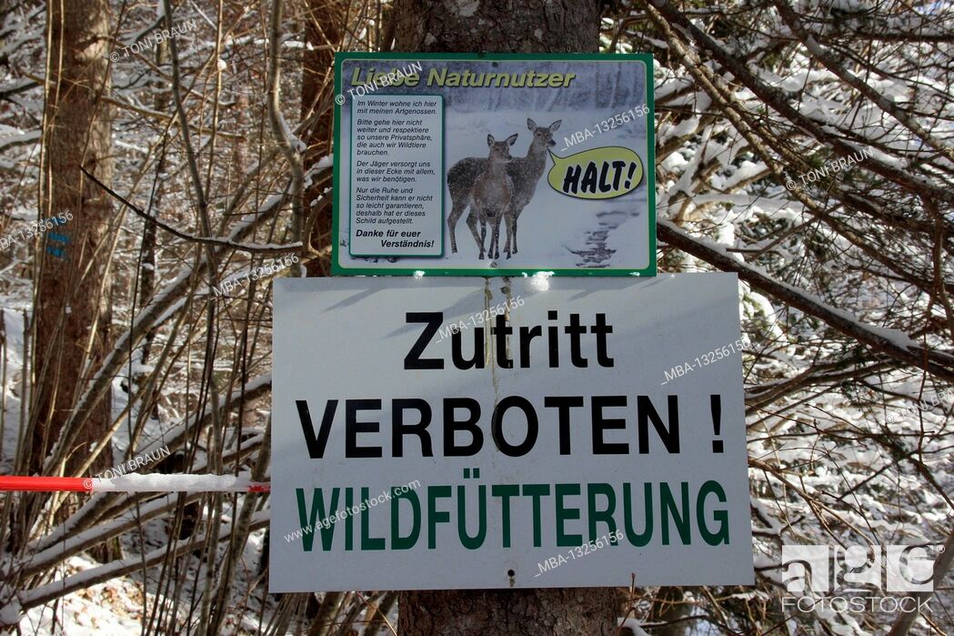 Imagen: Winter hike near Gerold, near Klais, Europe, Germany, Bavaria, Upper Bavaria, Werdenfels, winter, no entry, game feeding, cordon.