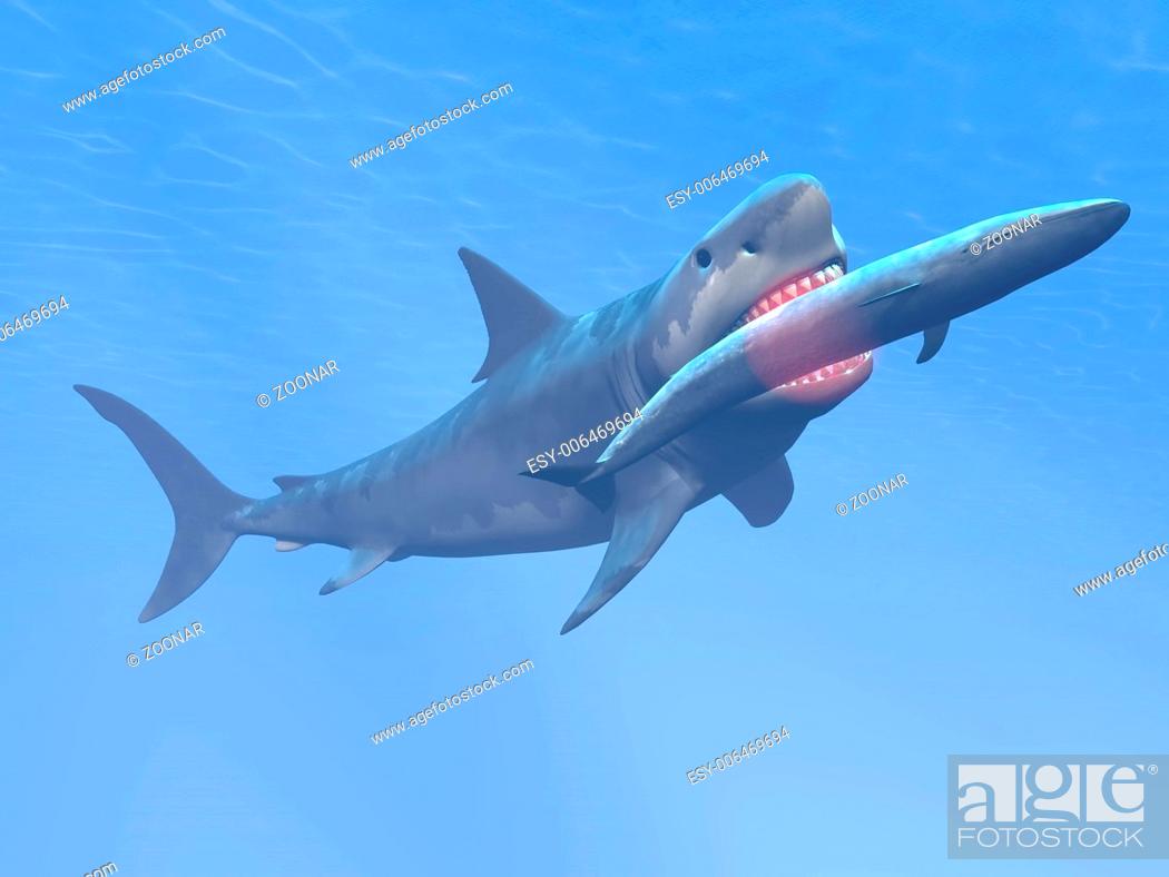 Stock Photo: Megalodon shark eating blue whale - 3D render.