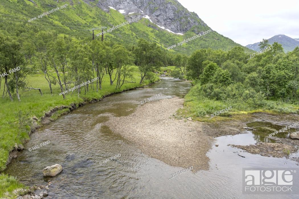 Stock Photo: Artic circle landscape with shoal and clear waters of Hegdal river between brich wood in green hilly countryside, shot under bright cloudy light near Lodingen.