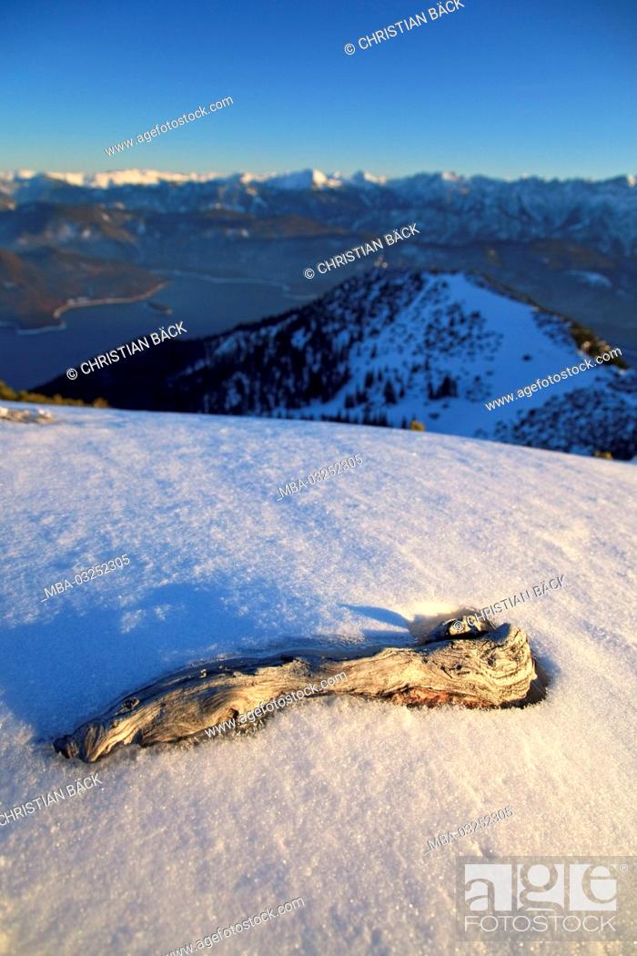 Stock Photo: Root in the snow, Herzogstand, Lake Walchensee, Bavarian Alpine Foreland, Alpine foreland, alps, Bavarian uplands, Upper Bavaria, Bavaria, South Germany.