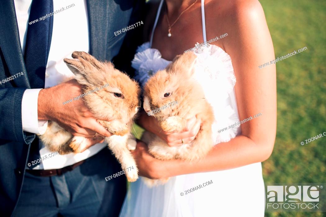 Stock Photo: wedding couple are holding two small rabbits, summer time.