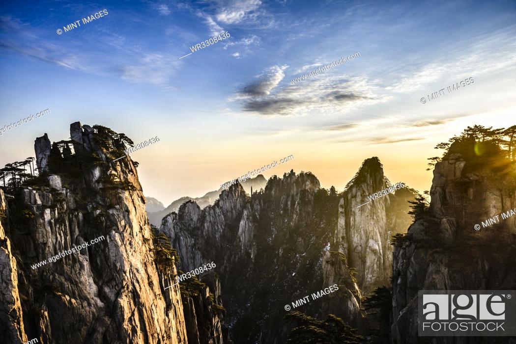 Stock Photo: Trees growing on rocky mountains, Huangshan, Anhui, China.