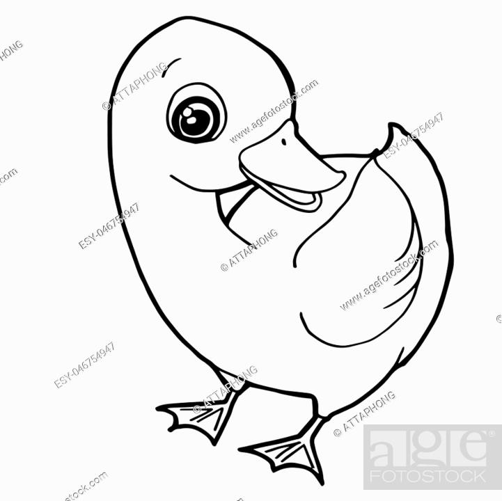 cartoon cute duck coloring page vector illustration, Stock Vector, Vector  And Low Budget Royalty Free Image. Pic. ESY-046754947 | agefotostock