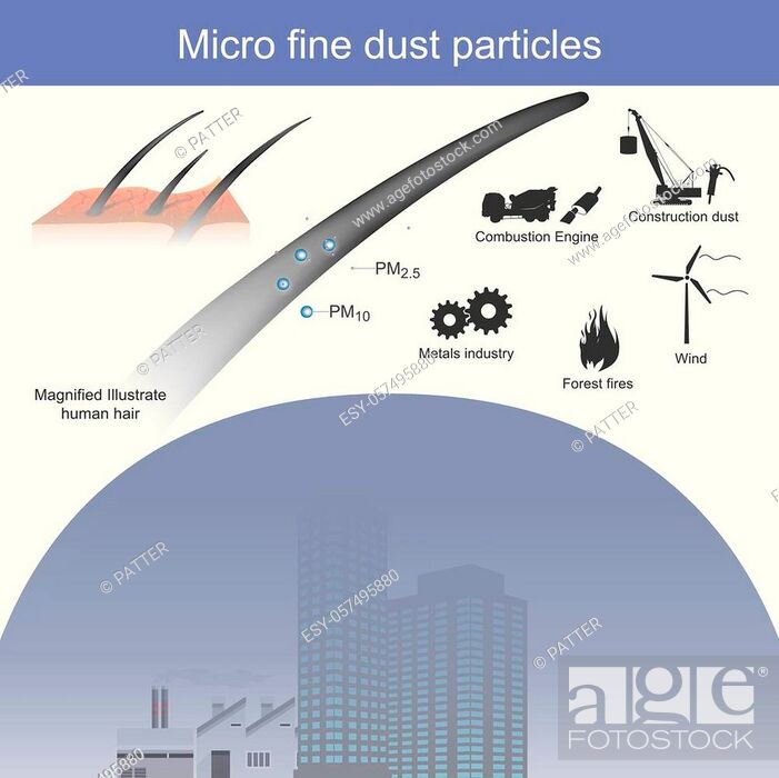Stock Vector: Toxic dust that is very small when compared to hair diameter.