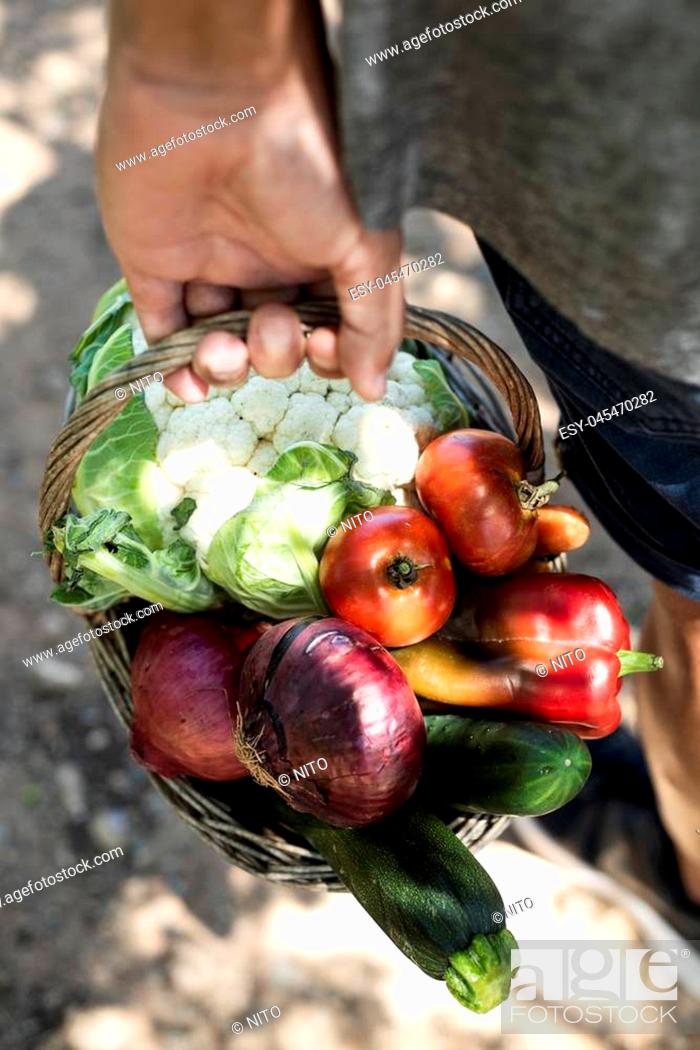 Stock Photo: closeup of a young caucasian man, seen from behind, with a rustic basket full of vegetables freshly collected in an organic orchard.