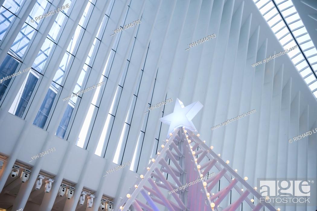 Transparente Kakadu microscópico Christmas tree in the Holiday Market in the Westfield Mall in the Oculus in  the World Trade Center..., Foto de Stock, Imagen Derechos Protegidos Pic.  Y9H-3046793 | agefotostock