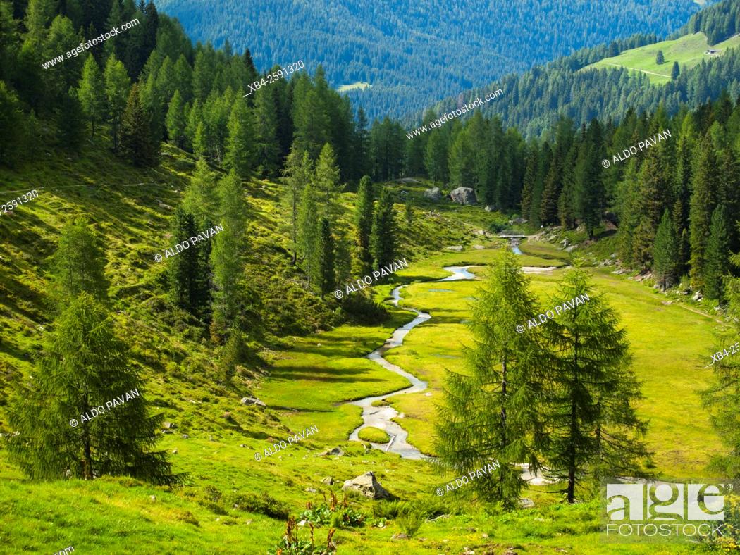 Stock Photo: Val Campelle, view of the meadows with stream, Lagorai, Italy.