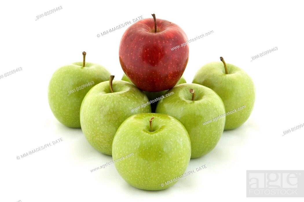 Photo de stock: apple (Malus domestica), a red apple on green apples.