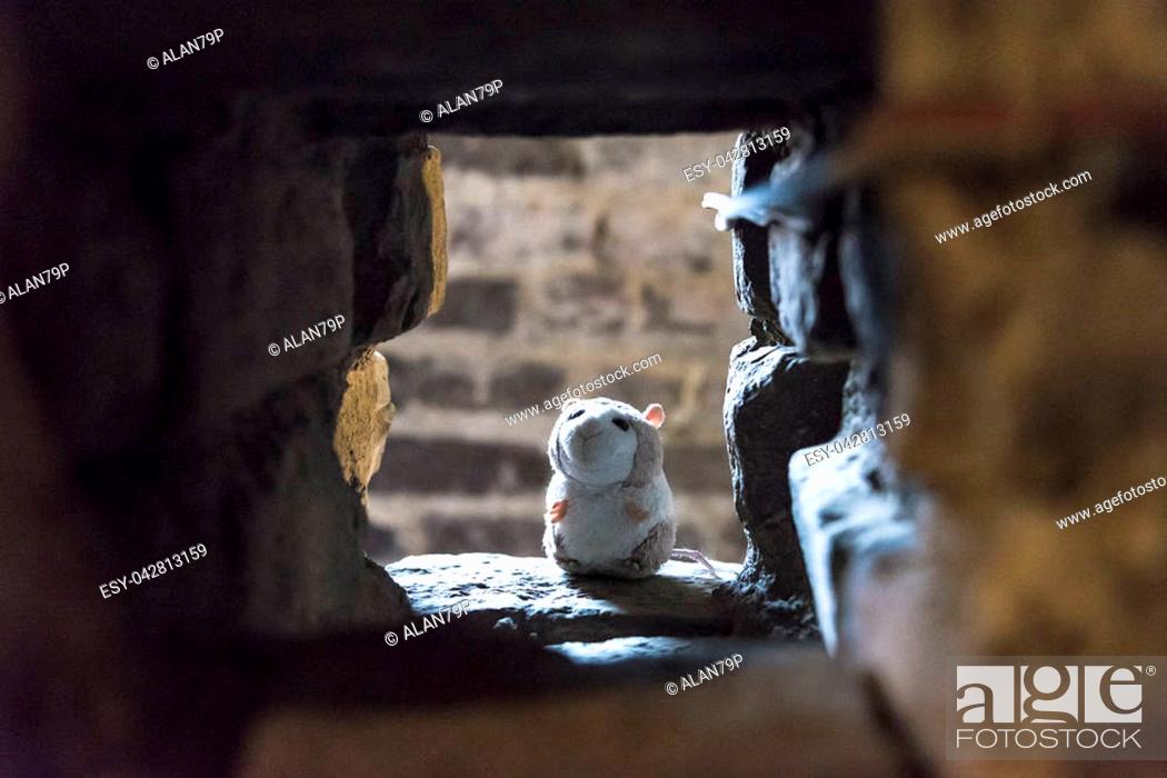 Plush hamster placed near a medieval brick wall, portrait, Stock Photo,  Picture And Low Budget Royalty Free Image. Pic. ESY-042813159 | agefotostock