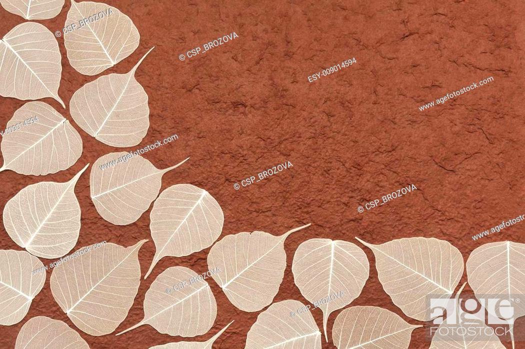 Stock Photo: Skeletal leaves over brown handmade paper.