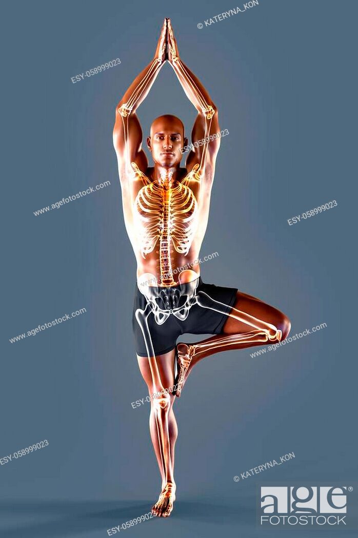 Man doing tree pose vrksasana exercise. Flat vector illustration isolated  on white background 16120673 Vector Art at Vecteezy