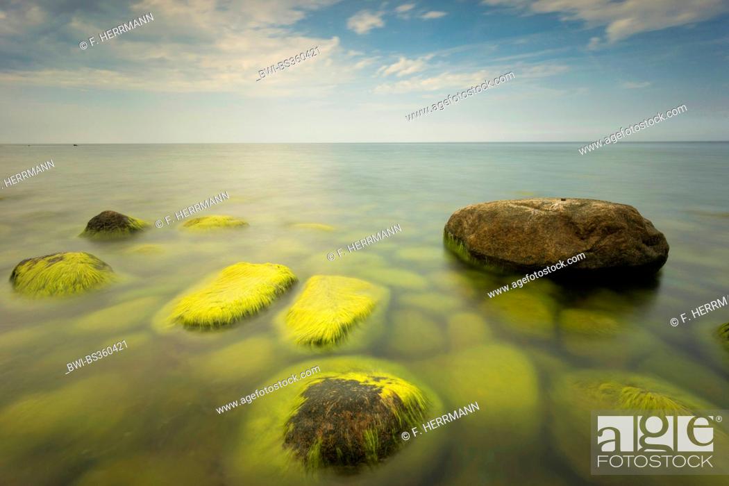 Stock Photo: stones covered with algae in the Baltic Sea, Germany, Mecklenburg-Western Pomerania, Baltic Sea, Hiddensee.
