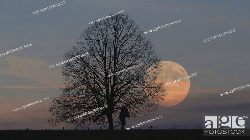 Stock Photo: Full Moon in Winter near Schmallenberg-Niederberndorf, Hochsauerland, NRW, Germany / Vollmond im Winter bei Schmallenberg-Niederberndorf, Hochsauerland, NRW.
