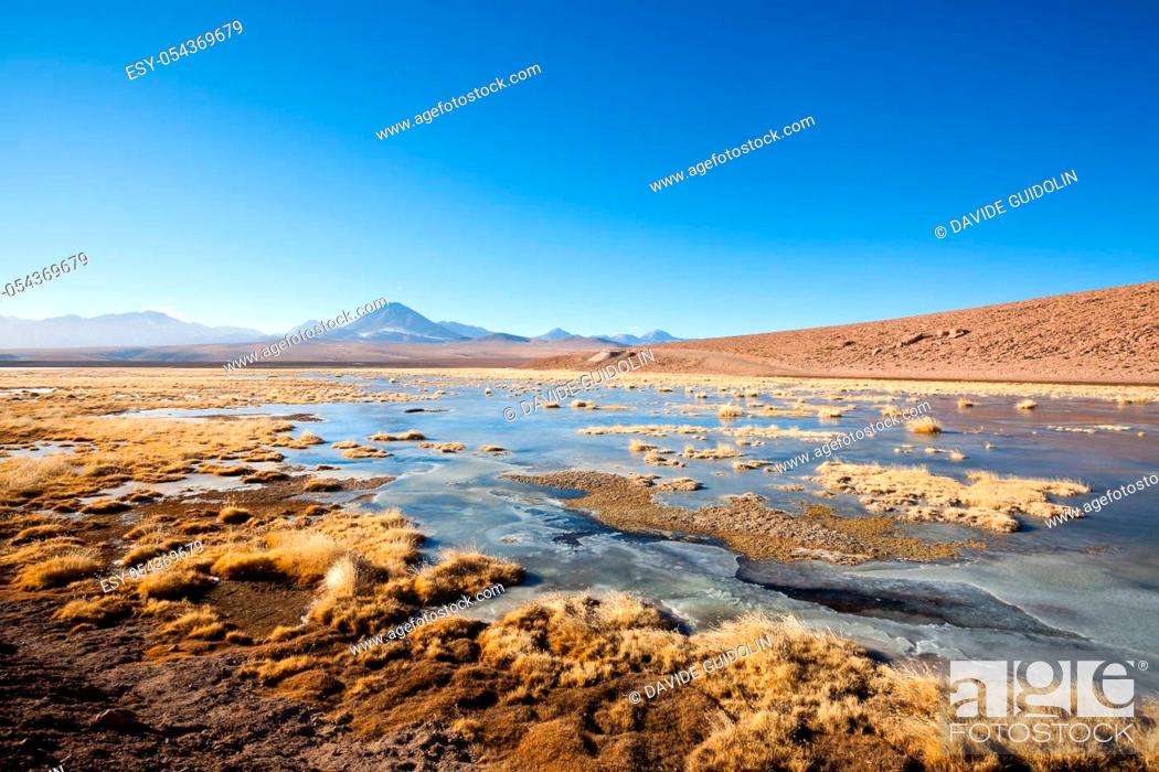 Stock Photo: Chilean landscape, lagoon and Licancabur volcano. Chile panorama.
