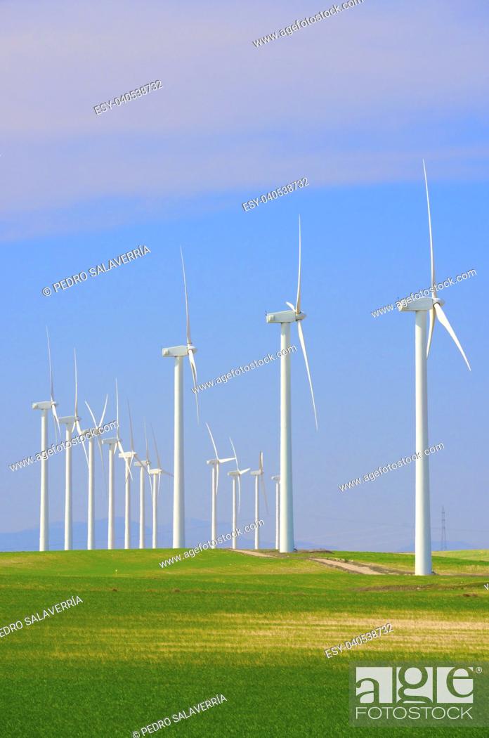 Imagen: Windmills for electric power production, Pozuelo de Aragon, Zaragoza, Aragon, Spain.