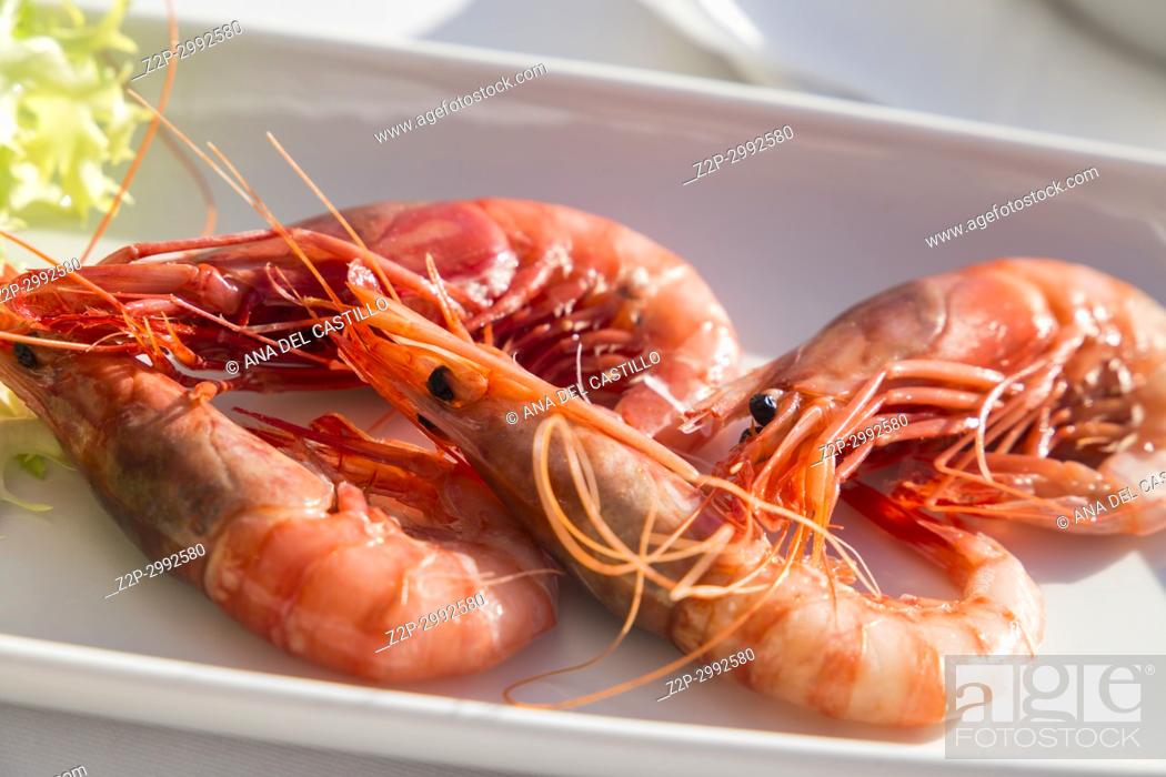 Photo de stock: Boiled red shrimps on plate for appetizer Calpe Spain.