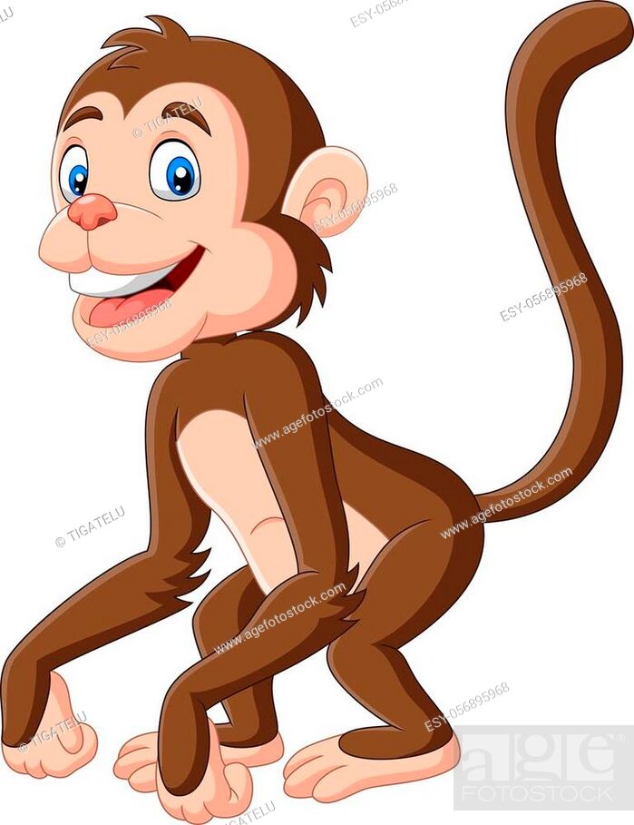 Vector illustration of Cute baby monkey cartoon on white background, Stock  Vector, Vector And Low Budget Royalty Free Image. Pic. ESY-056895968 |  agefotostock