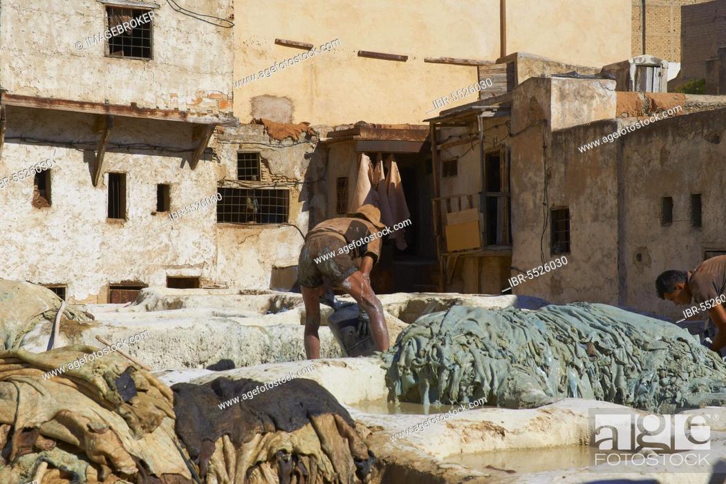 Stock Photo: Fes, Traditional Tanneries with Dyeing Tubs, The Chouwara, Chouara, Tannery, Old Town, Medina, UNESCO World Heritage Site, Fes el Bali, Maghreb, North Africa.