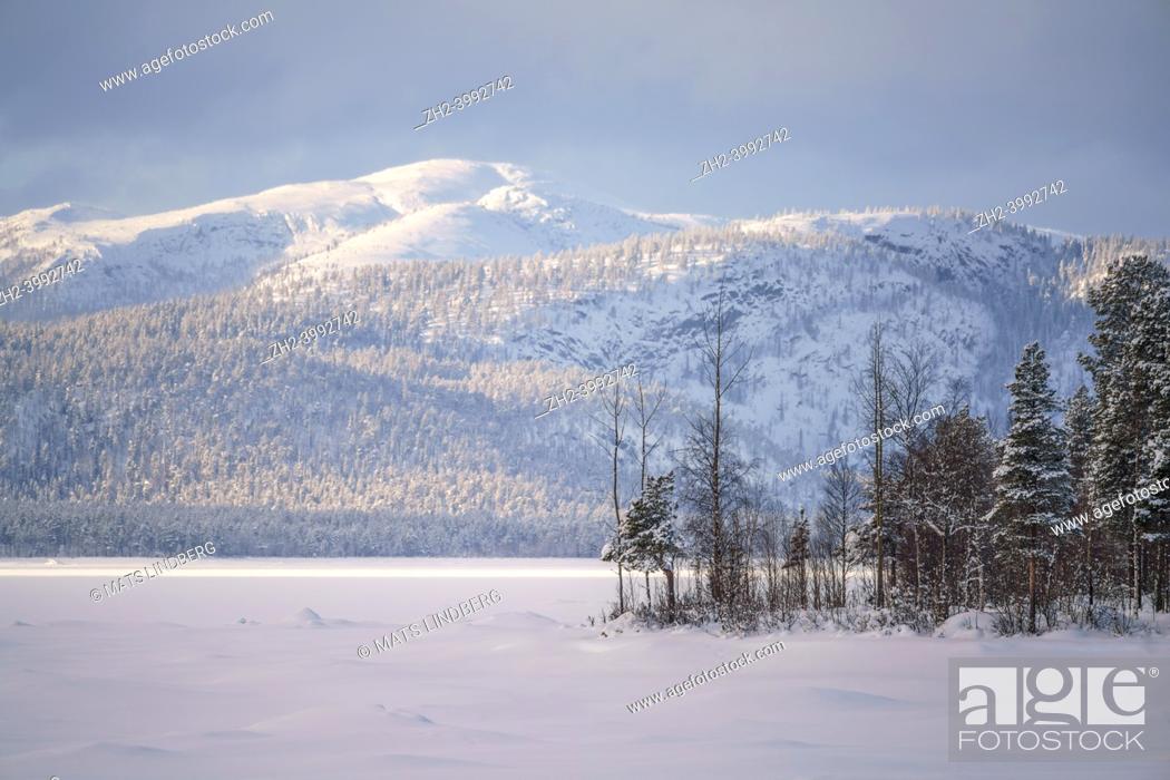 Stock Photo: Winter landscape with big mountain in background in background, shot with long lens, Jokkmokk county, Swedish Lapland, Sweden.