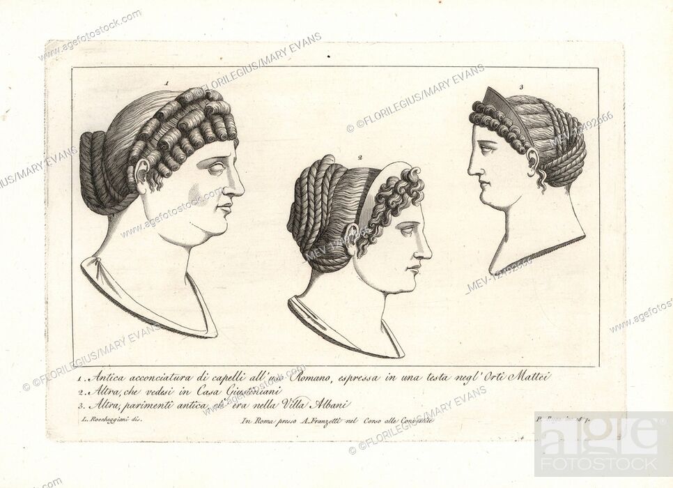 Ancient Roman hairstyle from a head in the Mattei Garden 1, hairstyle from  the Casa Giustiniani 2, Stock Photo, Picture And Rights Managed Image. Pic.  MEV-12492666 | agefotostock