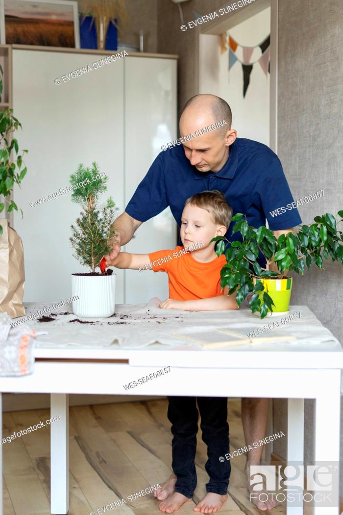 Stock Photo: Father teaching son transplanting at home.