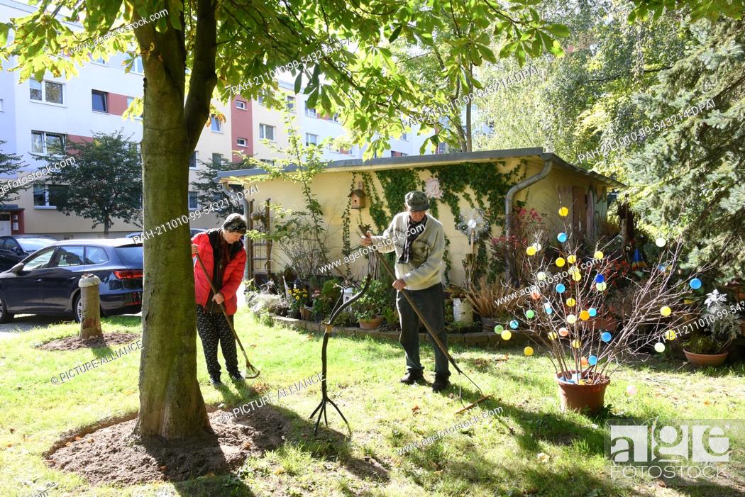 Stock Photo: 02 October 2021, Saxony, Leipzig: The married couple Ingrid and Fritz Hundt clean leaves from the lawn in ""their"" Hundtsche Park.