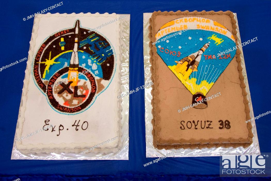 Stock Photo: This is a close-up view of the Expedition 40 and Soyuz 38 cakes honoring the training staff and Expedition 3940 crew during a cake-cutting ceremony in the Jake.