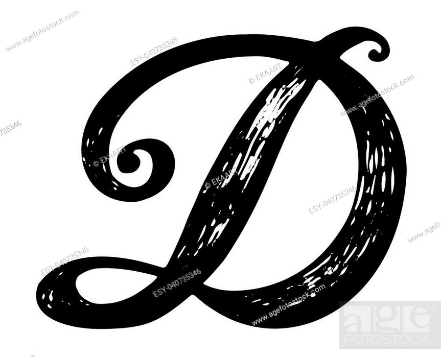 Letter D. Calligraphy alphabet typeset lettering. Hand drawn alphabet ...