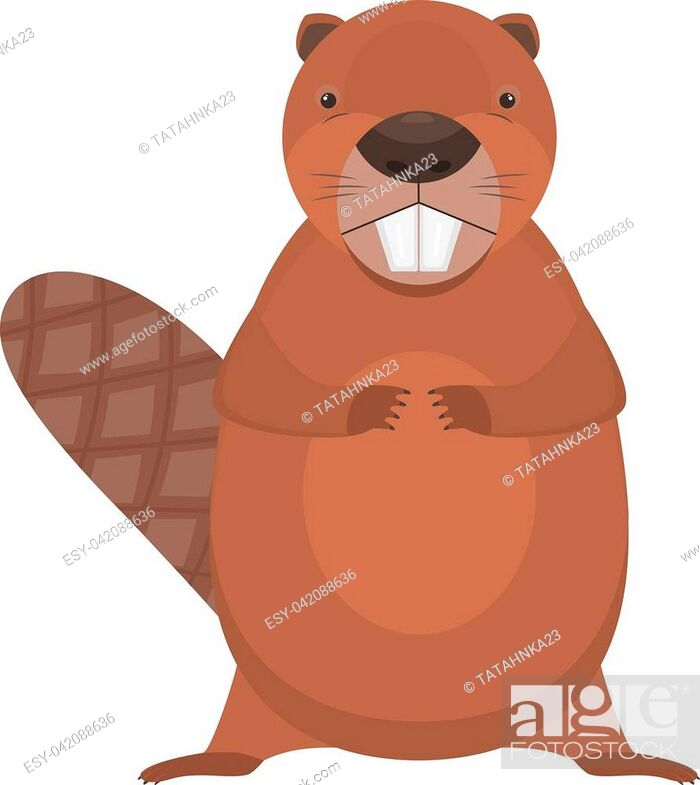 Cute cartoon flat vector standing beaver character. Funny brown beaver with  two big teeth, Stock Vector, Vector And Low Budget Royalty Free Image. Pic.  ESY-042088636 | agefotostock