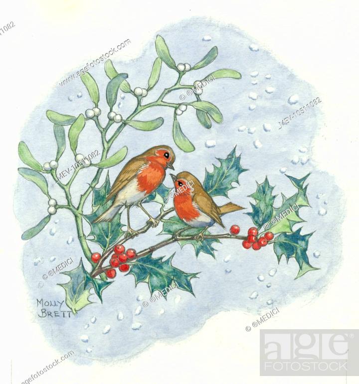 Two Robins Christmas Card