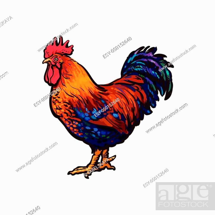 vector cartoon hand drawn sketch brown blue colored rooster, cock, Stock  Vector, Vector And Low Budget Royalty Free Image. Pic. ESY-050152640 |  agefotostock