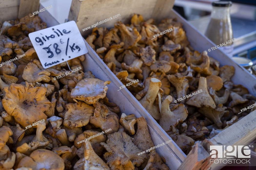 Photo de stock: Girolle mushrooms, Foix, department of Ariège, Occitanie, Pyrenean mountain range, France.