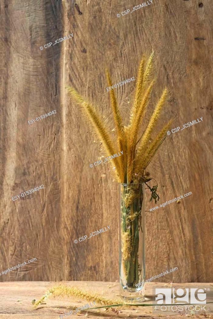 Imagen: Flower foxtail weed in tube glass vase on wood background.