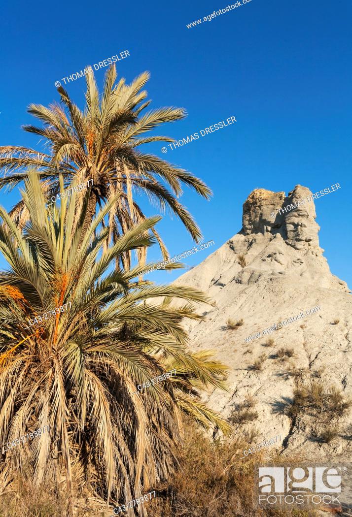 Stock Photo: Bare ridges of eroded sandstone and palm trees in the Tabernas Desert, Europe's only true desert. Almeria province, Andalusia, Spain.