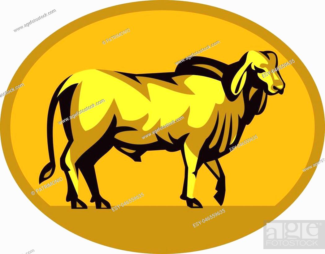 Stock Vector: Illustration of a brahman bull looking front viewed from the side set inside oval shape on isolated background done in retro style.