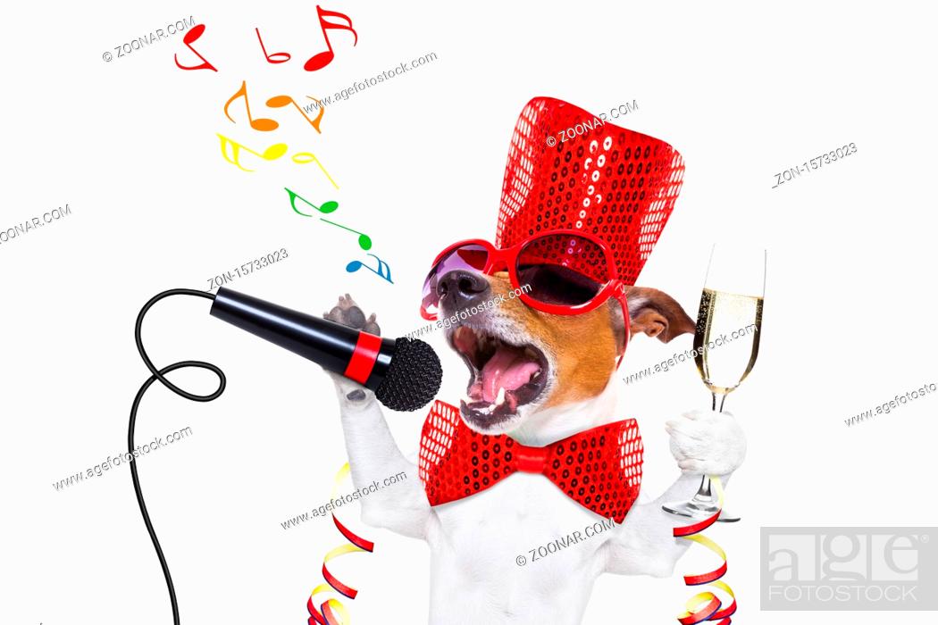 Imagen: jack russell dog celebrating new years eve with champagne glass and singing out loud, isolated on white background.