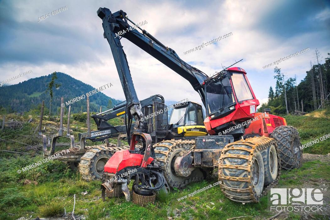 Stock Photo: Italy, Veneto, provnce of Belluno, Dolomites. Harvester and Forwarder forestry vehicle in a forest hit by the storm Vaia.