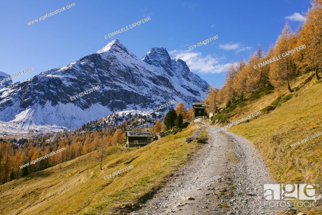 Stock Photo: Autumn in the mountains, larch colored red and autumn colors, Valdidentro, Alta Valtellina, Lombardy, Italy.