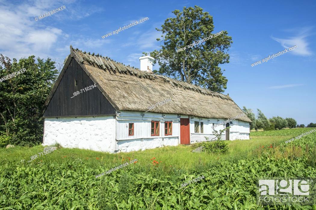 Stock Photo: Örumshuset, an old farmhouse build about year 1800. Housing for the farmer and all his domestic animals. Museum building in Örum, Ystad community, Scania.