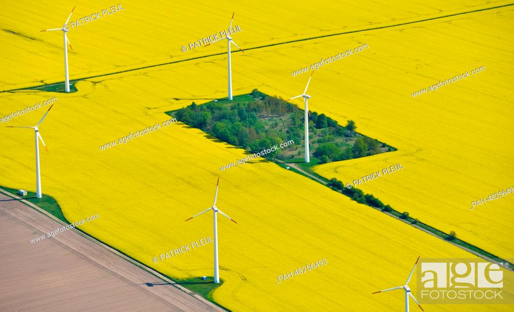 Stock Photo: Aerial view of a field of blossoming canola in Falkenhagen near Seelow, Germany, 29 April 2014. Photo: Patrick Pleul/ZB | usage worldwide.