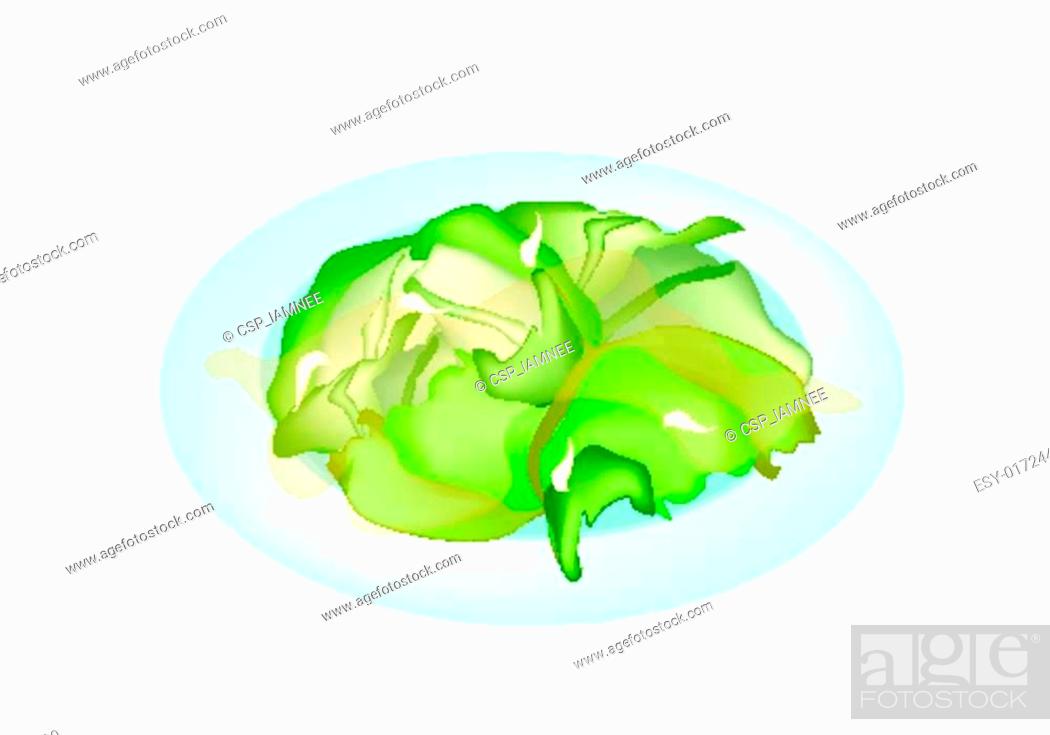 Stock Vector: Stir Fried Cabbages on A White Plate.