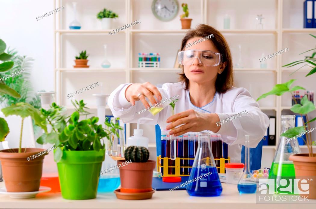Stock Photo: Old female biotechnology chemist working in the lab.