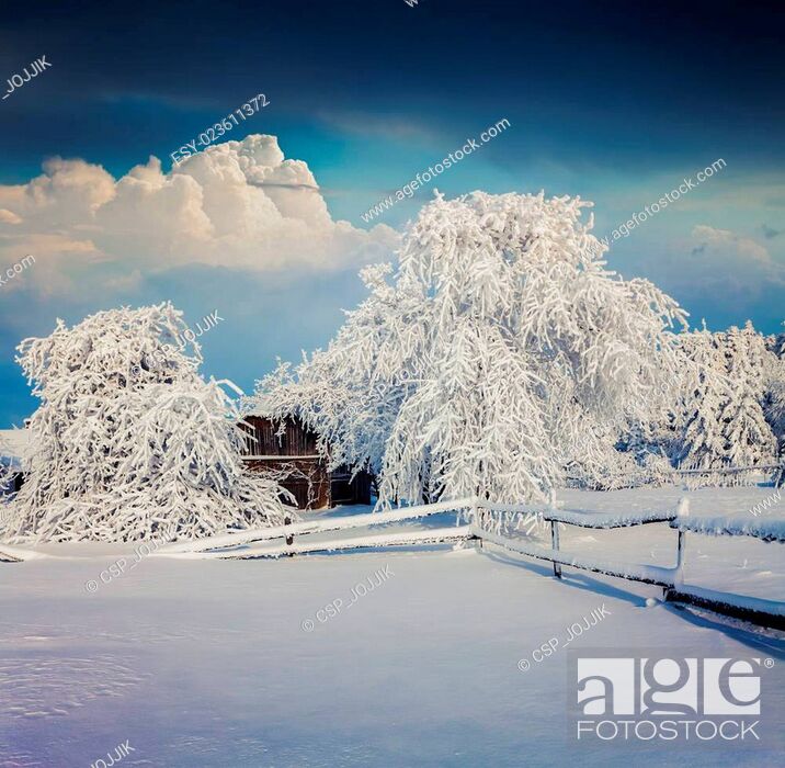 Imagen: Sunny winter morning in the mountain village after heavy snowfall.