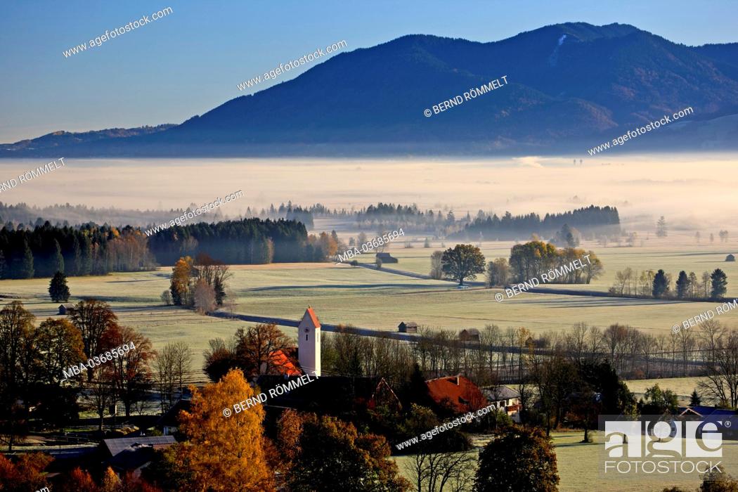 Stock Photo: Germany, Bavaria, Upper Bavaria, Pfaffenwinkel, Blaues Land (region), Kochel moss, Kochelmoor, Kochler Moore, Zell, Bavarian Alpine foothills,.