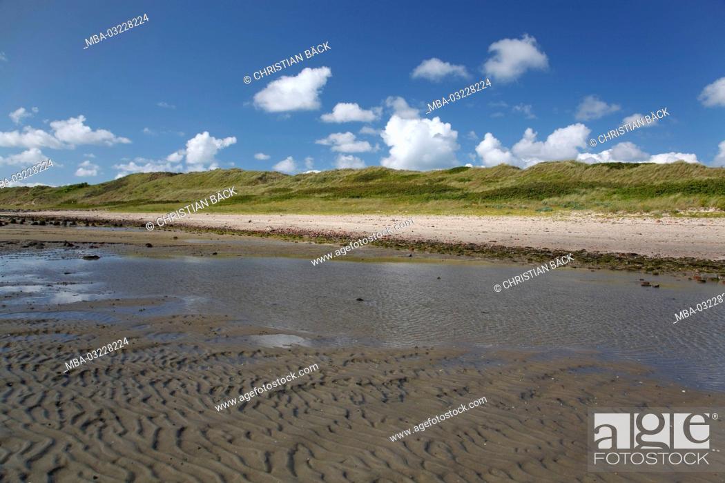 Stock Photo: Dune at the East point, island Wangerooge, the East Frisians, Lower Saxony, Germany, Europe,.