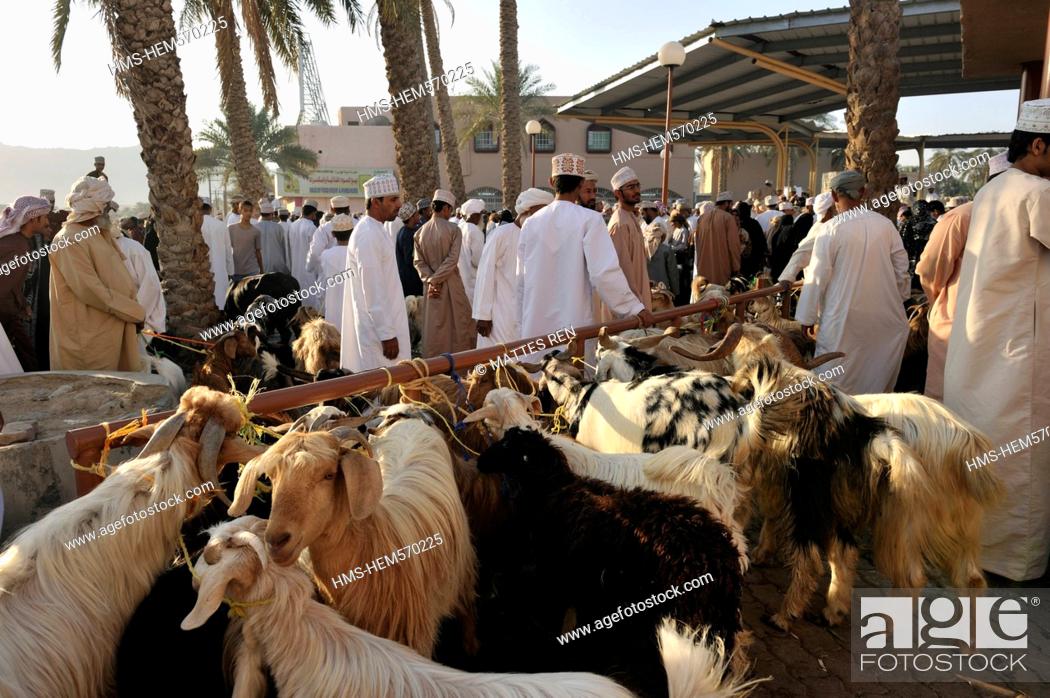 Stock Photo: Sultanate of Oman, Al Dakhiliyah Region, Western Hajar Mountains, Nizwa, Friday cattle market.