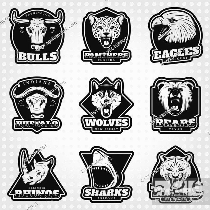Vintage team sport logos collection with wild animals shark and bird heads  on light dotted..., Stock Vector, Vector And Low Budget Royalty Free Image.  Pic. ESY-043096056 | agefotostock