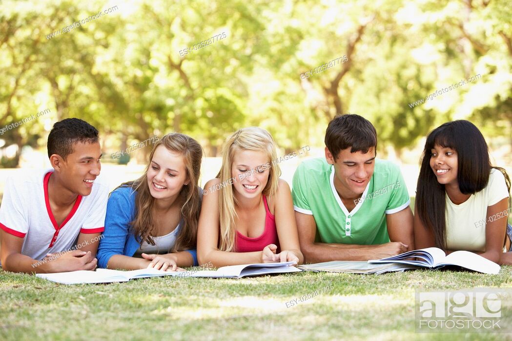 Stock Photo: Group Of Teenage Friends Studying In Park.