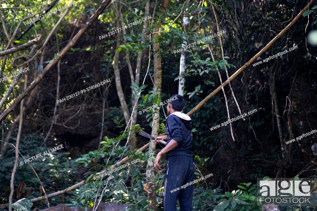 Stock Photo: 16 January 2023, Myanmar, Karen-Staat: An internally displaced person is clearing parts of the jungle in Karen state on the border with Thailand to make way for.